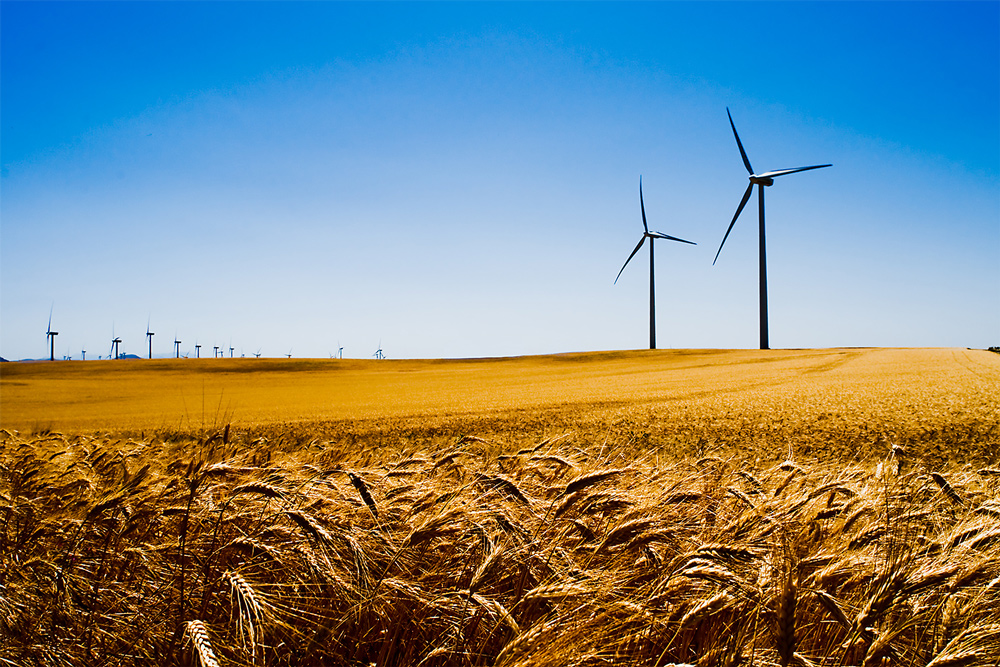España, camino del liderazgo en energía eólica, la UE quiere un 42,5% en&nbsp;2030