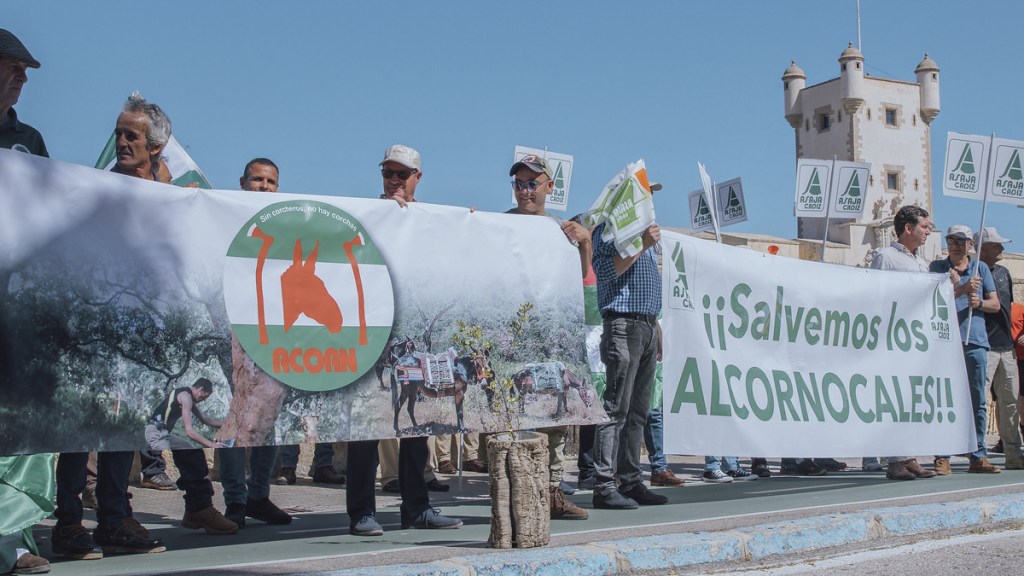 Así ataca la ‘lagarta peluda’ al parque natural de Los Alcornocales mientras Junta y Gobierno&nbsp;discuten