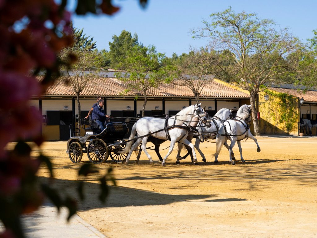 La industria del caballo es un motor económico que mantiene casi 150.000 puestos de trabajo en España y supone 7.400 millones de euros&nbsp;anuales