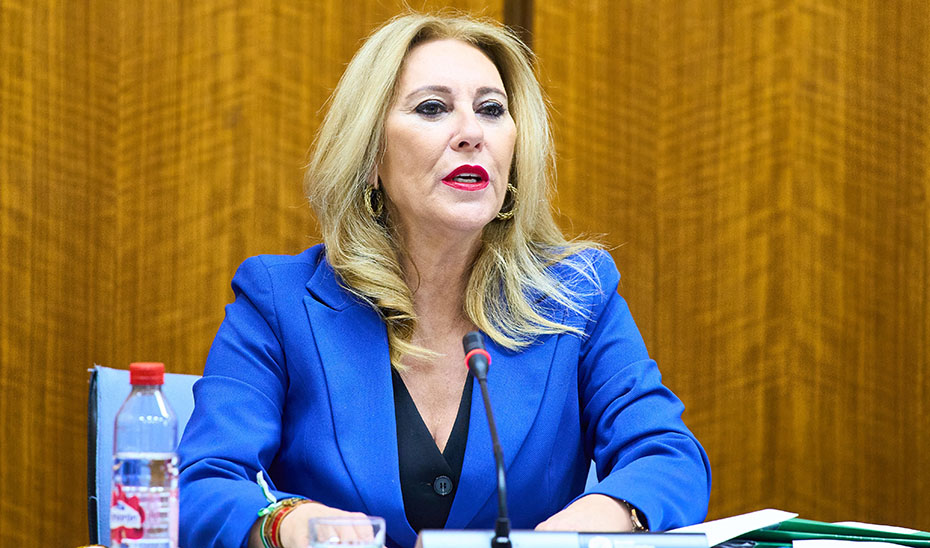 Gaspar Llanes a PANORAMA: «El PP-A ignora la mayoría de las aportaciones de la oposición al Presupuesto de la Junta para 2024, es el&nbsp;rodillo»