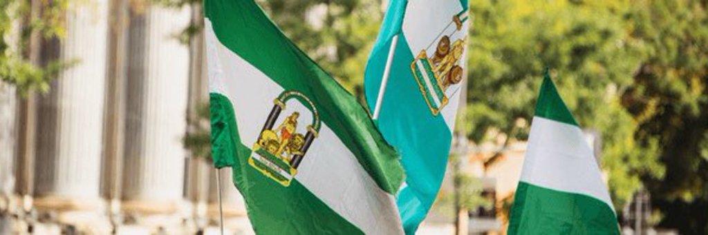 Emerge Opinandalucía, más contenidos en Panorama un espacio plural andaluz de progreso y&nbsp;participación